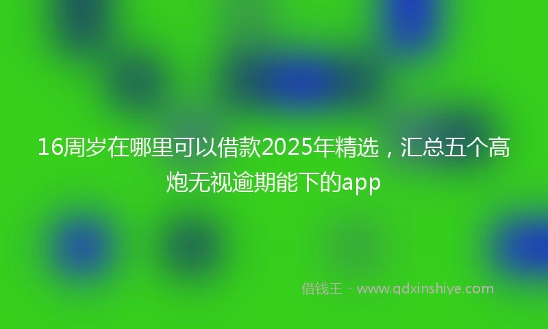 16周岁在哪里可以借款2025年精选，汇总五个高炮无视逾期能下的app
