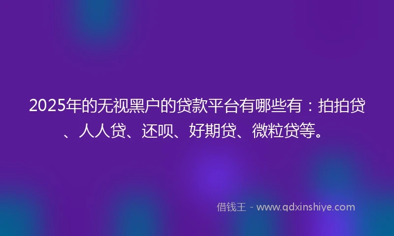 2025年的无视黑户的贷款平台有哪些有：拍拍贷、人人贷、还呗、好期贷、微粒贷等。