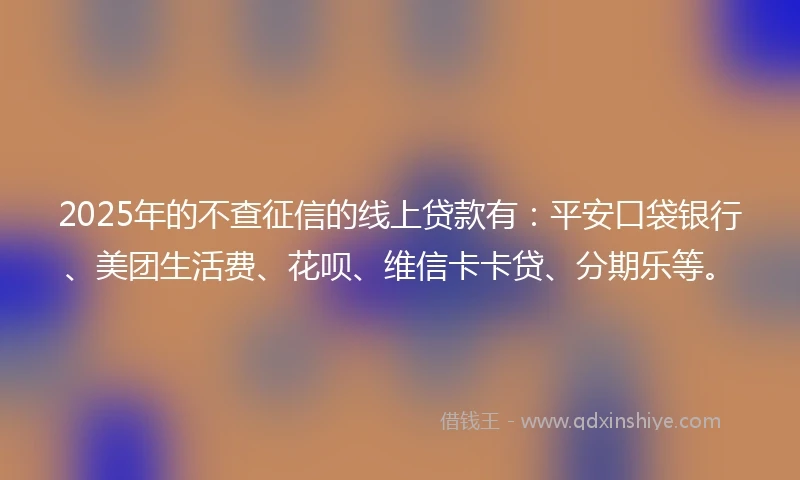 2025年的不查征信的线上贷款有：平安口袋银行、美团生活费、花呗、维信卡卡贷、分期乐等。