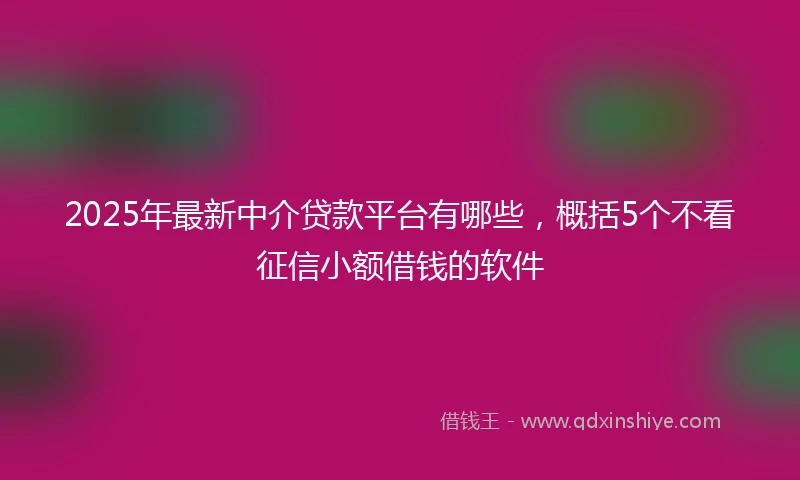 2025年最新中介贷款平台有哪些，概括5个不看征信小额借钱的软件