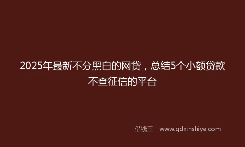 2025年最新不分黑白的网贷，总结5个小额贷款不查征信的平台