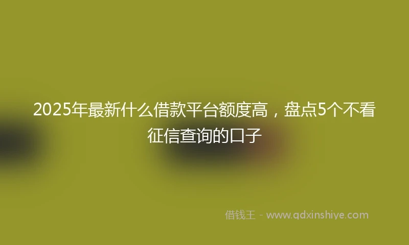 2025年最新什么借款平台额度高，盘点5个不看征信查询的口子