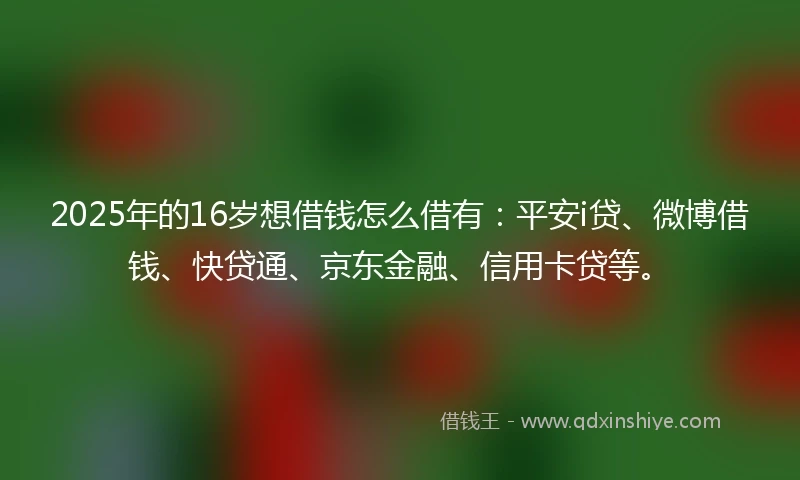 2025年的16岁想借钱怎么借有：平安i贷、微博借钱、快贷通、京东金融、信用卡贷等。