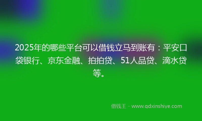 2025年的哪些平台可以借钱立马到账有：平安口袋银行、京东金融、拍拍贷、51人品贷、滴水贷等。