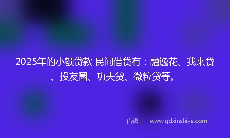 2025年的小额贷款 民间借贷有：融逸花、我来贷、投友圈、功夫贷、微粒贷等。