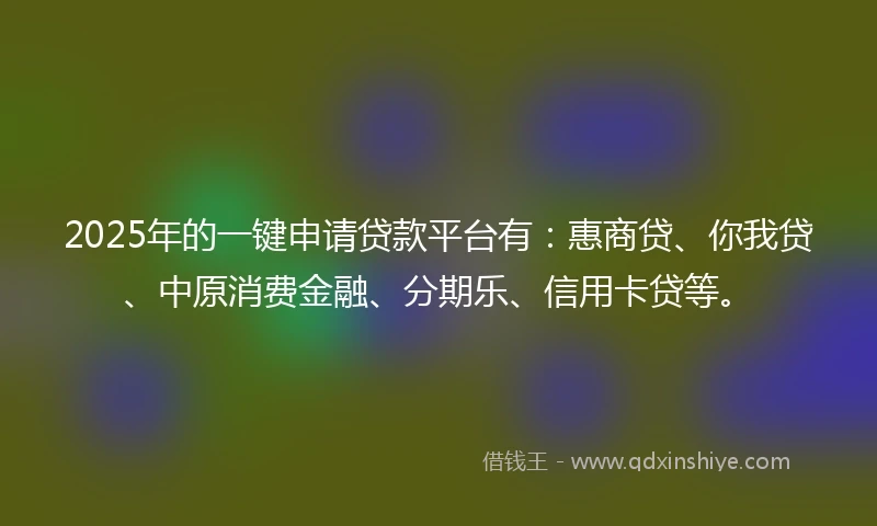 2025年的一键申请贷款平台有：惠商贷、你我贷、中原消费金融、分期乐、信用卡贷等。