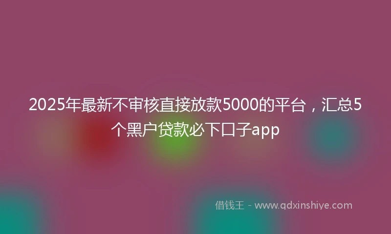 2025年最新不审核直接放款5000的平台，汇总5个黑户贷款必下口子app