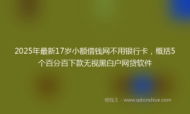 2025年最新17岁小额借钱网不用银行卡，概括5个百分百下款无视黑白户网贷软件