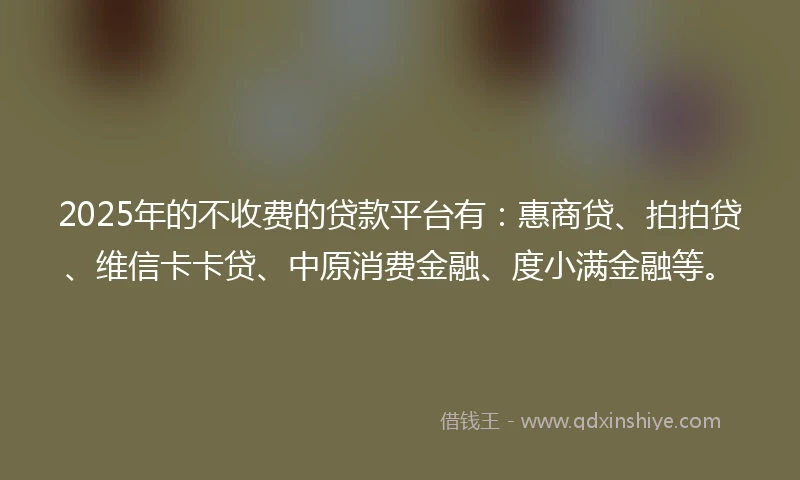 2025年的不收费的贷款平台有：惠商贷、拍拍贷、维信卡卡贷、中原消费金融、度小满金融等。