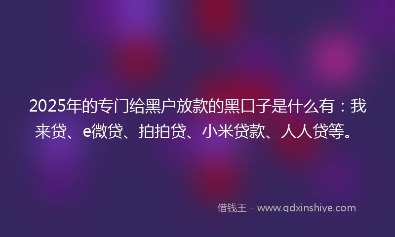 2025年的专门给黑户放款的黑口子是什么有：我来贷、e微贷、拍拍贷、小米贷款、人人贷等。