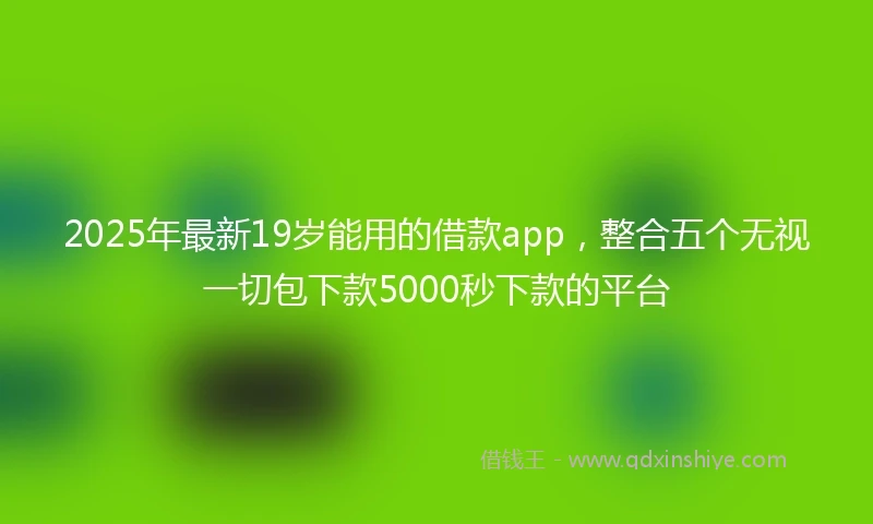 2025年最新19岁能用的借款app，整合五个无视一切包下款5000秒下款的平台