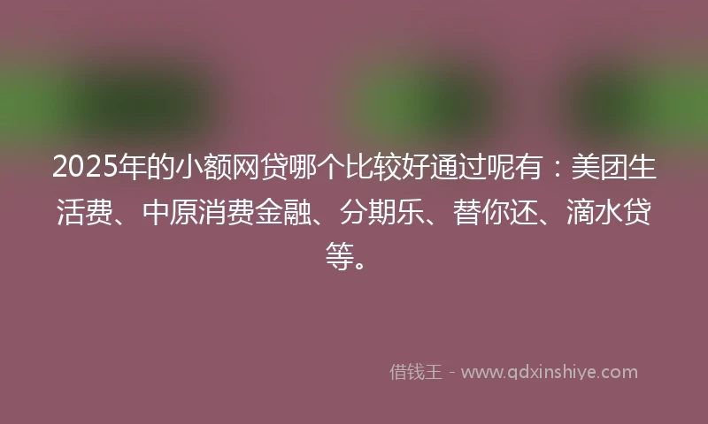 2025年的小额网贷哪个比较好通过呢有：美团生活费、中原消费金融、分期乐、替你还、滴水贷等。