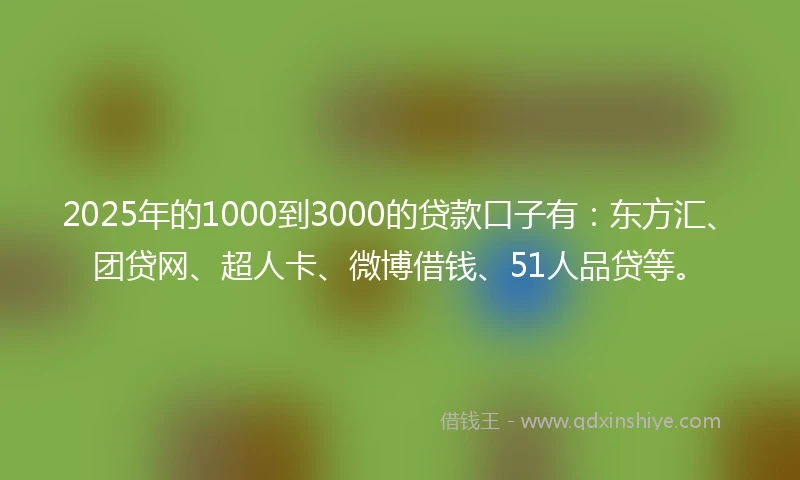2025年的1000到3000的贷款口子有：东方汇、团贷网、超人卡、微博借钱、51人品贷等。
