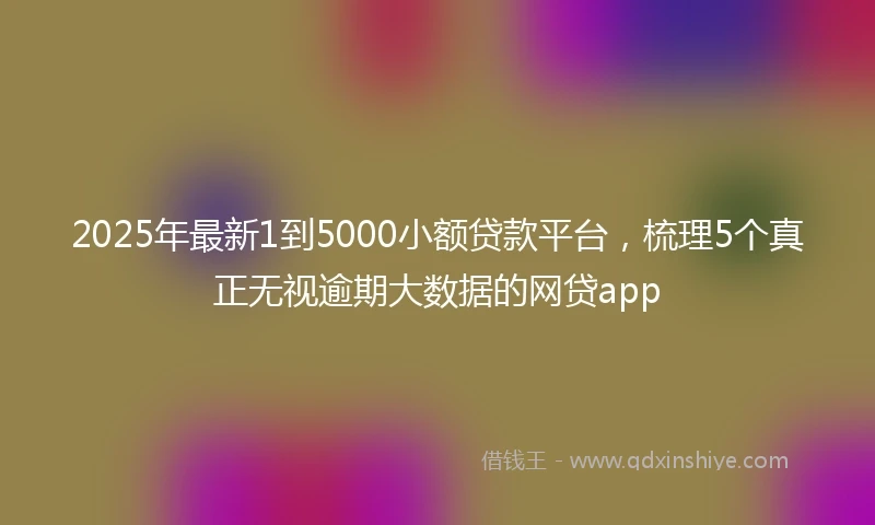 2025年最新1到5000小额贷款平台，梳理5个真正无视逾期大数据的网贷app