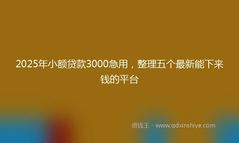 2025年小额贷款3000急用，整理五个最新能下来钱的平台