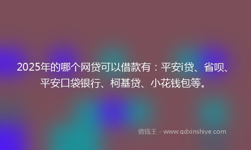 2025年的哪个网贷可以借款有：平安i贷、省呗、平安口袋银行、柯基贷、小花钱包等。