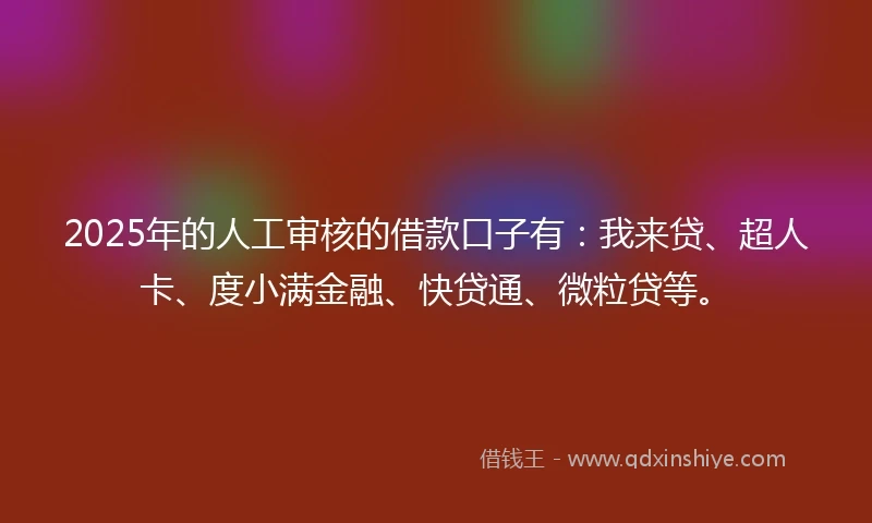 2025年的人工审核的借款口子有：我来贷、超人卡、度小满金融、快贷通、微粒贷等。