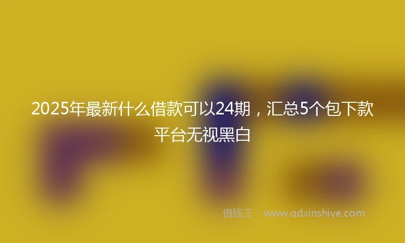 2025年最新什么借款可以24期，汇总5个包下款平台无视黑白