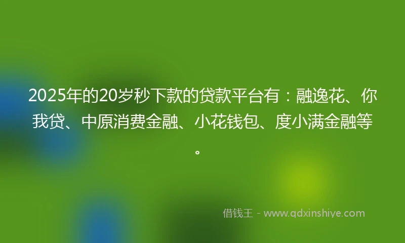 2025年的20岁秒下款的贷款平台有：融逸花、你我贷、中原消费金融、小花钱包、度小满金融等。