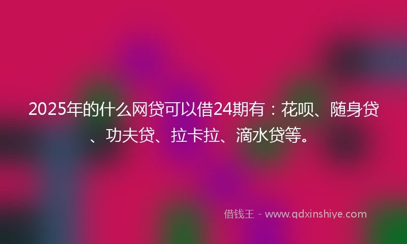 2025年的什么网贷可以借24期有：花呗、随身贷、功夫贷、拉卡拉、滴水贷等。