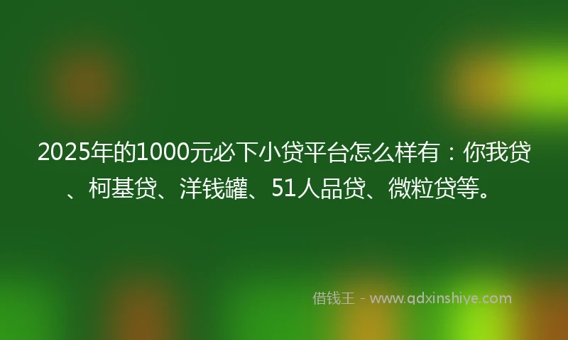2025年的1000元必下小贷平台怎么样有：你我贷、柯基贷、洋钱罐、51人品贷、微粒贷等。