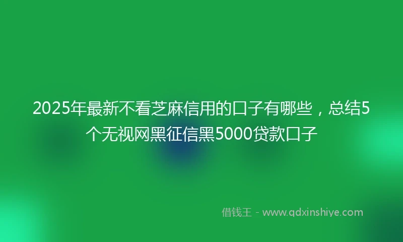2025年最新不看芝麻信用的口子有哪些，总结5个无视网黑征信黑5000贷款口子