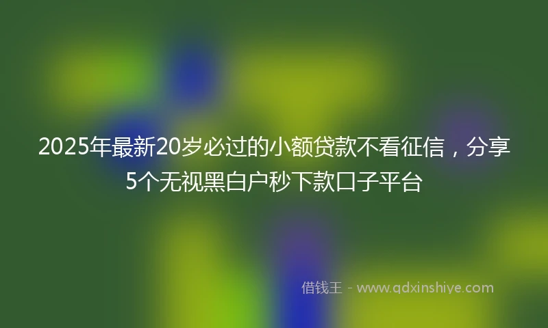 2025年最新20岁必过的小额贷款不看征信，分享5个无视黑白户秒下款口子平台