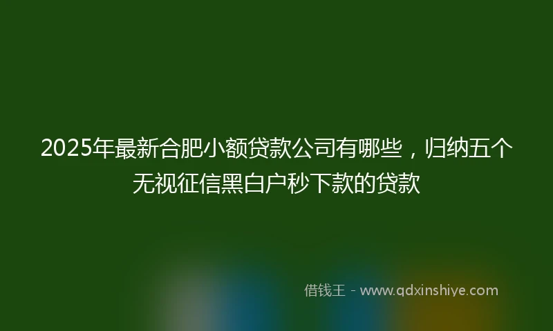 2025年最新合肥小额贷款公司有哪些，归纳五个无视征信黑白户秒下款的贷款