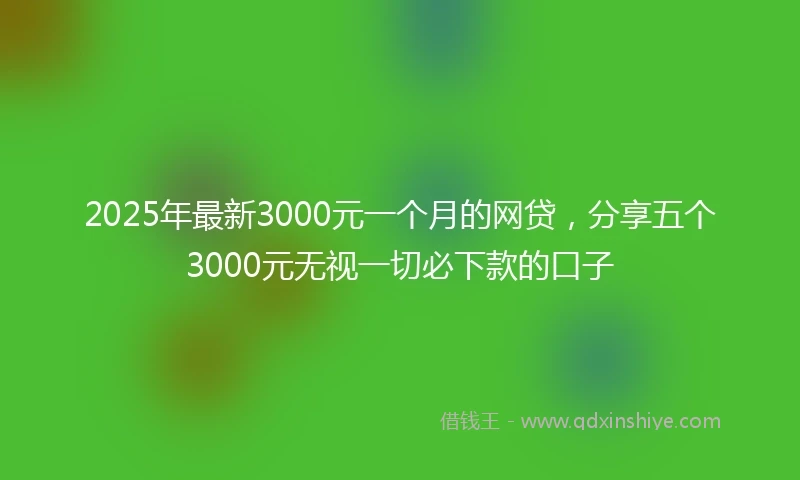 2025年最新3000元一个月的网贷，分享五个3000元无视一切必下款的口子
