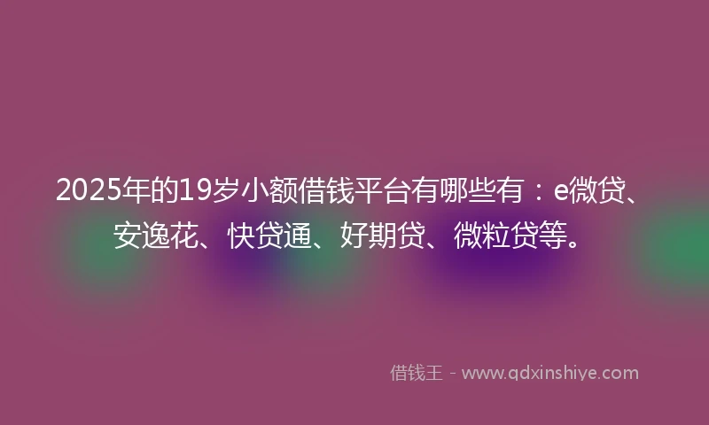 2025年的19岁小额借钱平台有哪些有：e微贷、安逸花、快贷通、好期贷、微粒贷等。