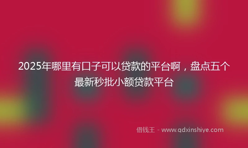 2025年哪里有口子可以贷款的平台啊，盘点五个最新秒批小额贷款平台