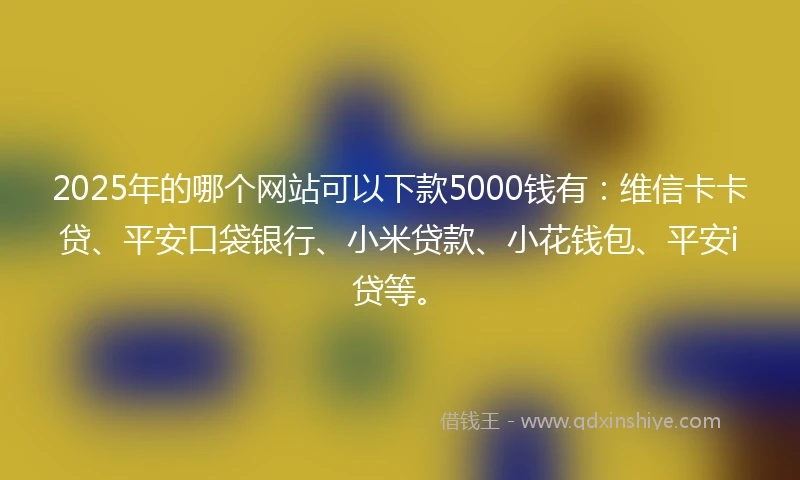 2025年的哪个网站可以下款5000钱有：维信卡卡贷、平安口袋银行、小米贷款、小花钱包、平安i贷等。