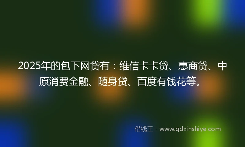 2025年的包下网贷有：维信卡卡贷、惠商贷、中原消费金融、随身贷、百度有钱花等。