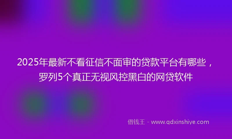2025年最新不看征信不面审的贷款平台有哪些，罗列5个真正无视风控黑白的网贷软件