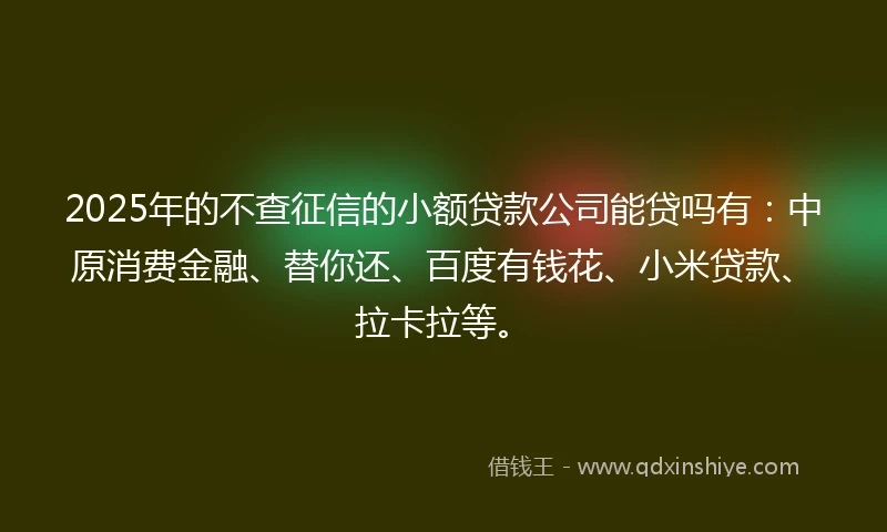 2025年的不查征信的小额贷款公司能贷吗有：中原消费金融、替你还、百度有钱花、小米贷款、拉卡拉等。