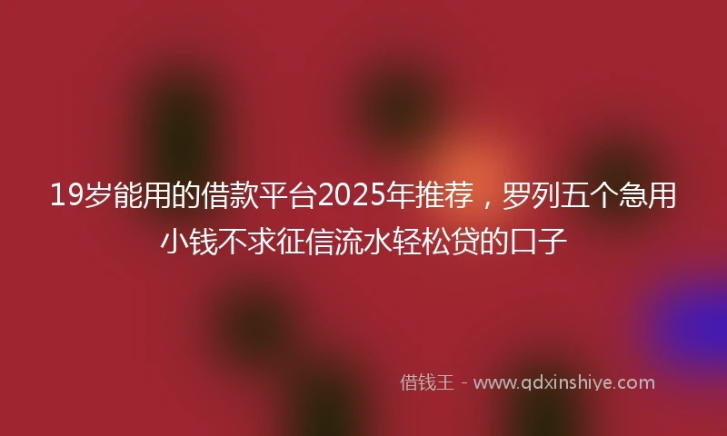 19岁能用的借款平台2025年推荐，罗列五个急用小钱不求征信流水轻松贷的口子