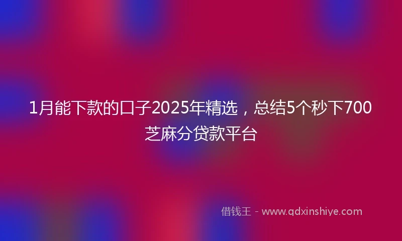 1月能下款的口子2025年精选，总结5个秒下700芝麻分贷款平台