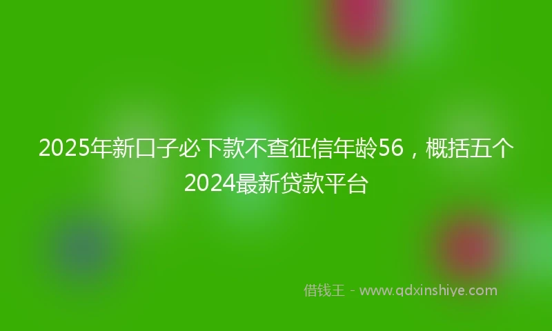 2025年新口子必下款不查征信年龄56，概括五个2024最新贷款平台