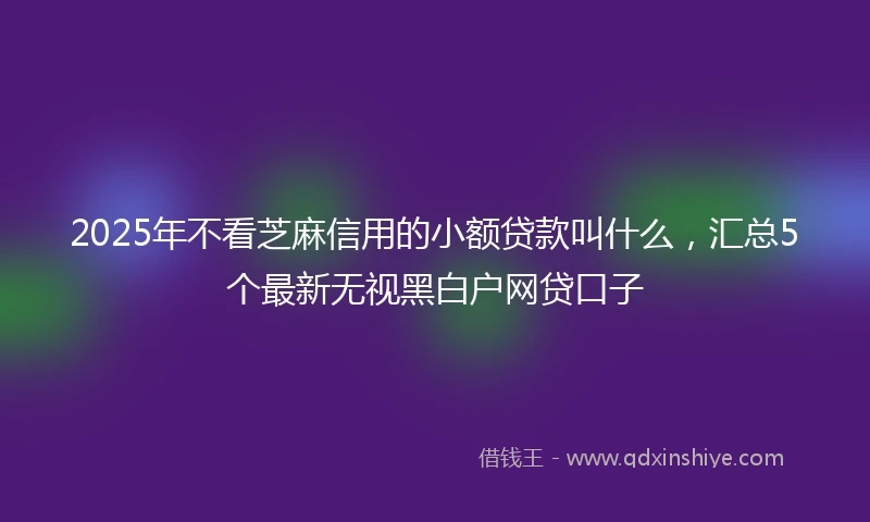 2025年不看芝麻信用的小额贷款叫什么，汇总5个最新无视黑白户网贷口子