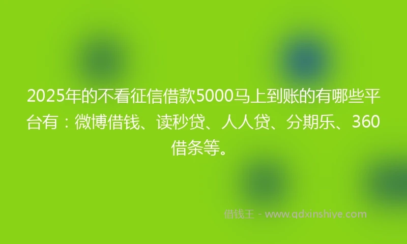 2025年的不看征信借款5000马上到账的有哪些平台有：微博借钱、读秒贷、人人贷、分期乐、360借条等。