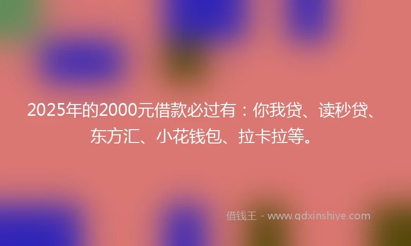 2025年的2000元借款必过有：你我贷、读秒贷、东方汇、小花钱包、拉卡拉等。