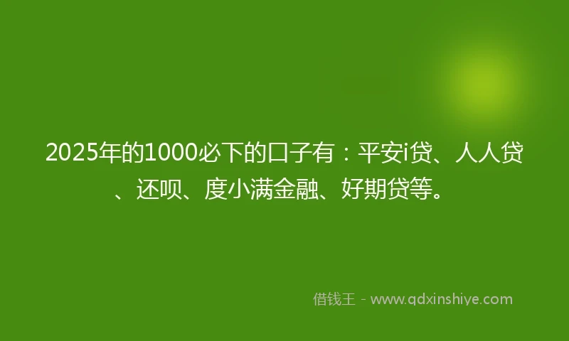 2025年的1000必下的口子有：平安i贷、人人贷、还呗、度小满金融、好期贷等。