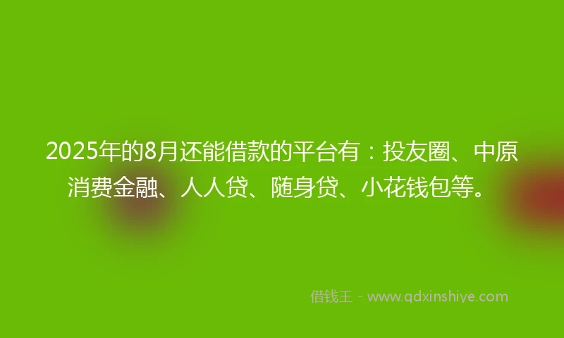 2025年的8月还能借款的平台有：投友圈、中原消费金融、人人贷、随身贷、小花钱包等。