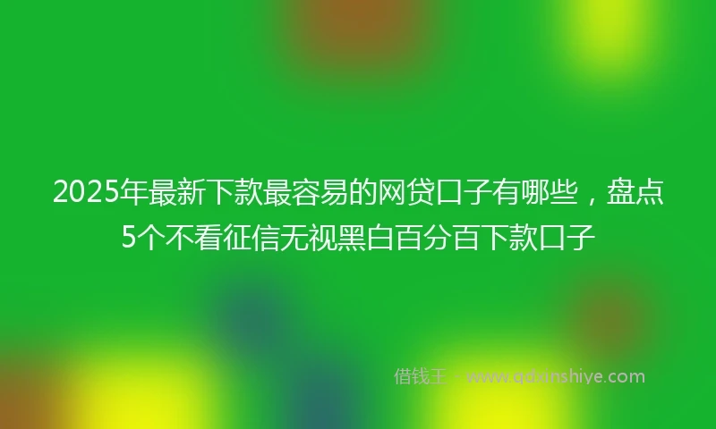2025年最新下款最容易的网贷口子有哪些，盘点5个不看征信无视黑白百分百下款口子