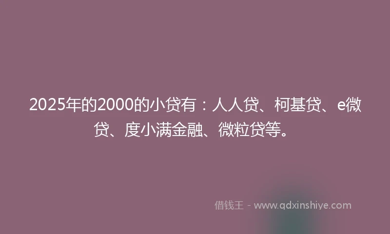 2025年的2000的小贷有：人人贷、柯基贷、e微贷、度小满金融、微粒贷等。