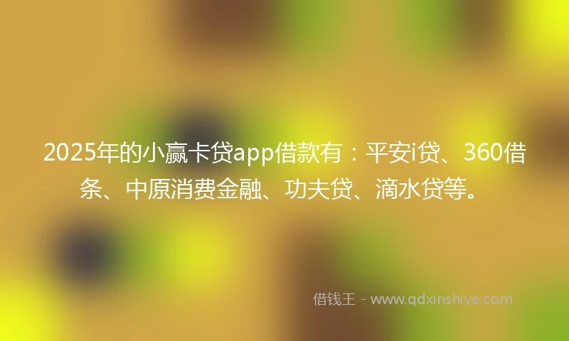 2025年的小赢卡贷app借款有：平安i贷、360借条、中原消费金融、功夫贷、滴水贷等。