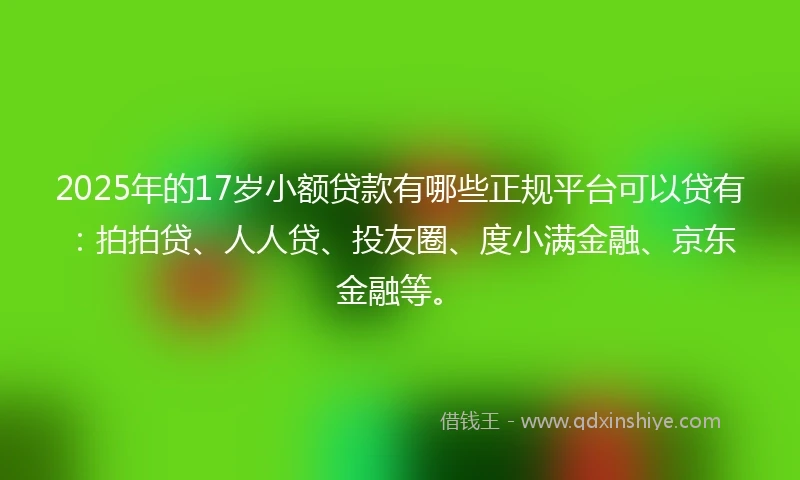 2025年的17岁小额贷款有哪些正规平台可以贷有：拍拍贷、人人贷、投友圈、度小满金融、京东金融等。