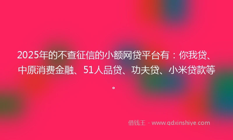2025年的不查征信的小额网贷平台有：你我贷、中原消费金融、51人品贷、功夫贷、小米贷款等。