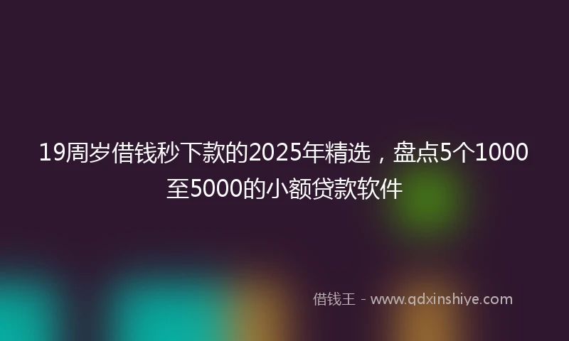 19周岁借钱秒下款的2025年精选，盘点5个1000至5000的小额贷款软件
