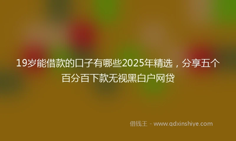 19岁能借款的口子有哪些2025年精选，分享五个百分百下款无视黑白户网贷